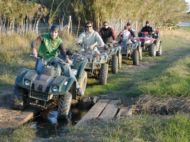 Grupo de quads